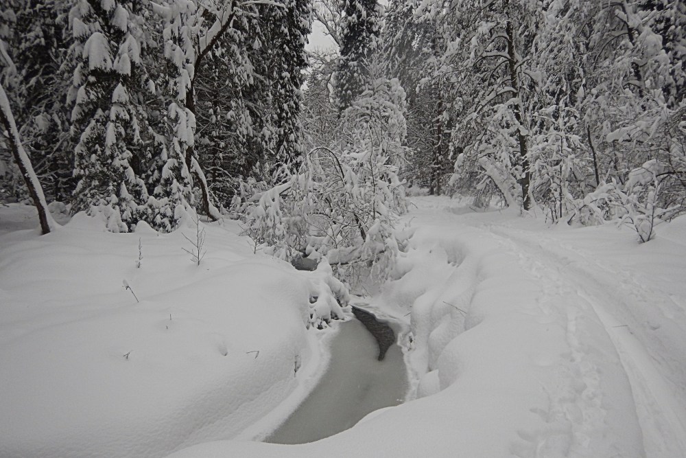 biegowki_beskid_niski_jaktoblisko_przewodnik_gorski5