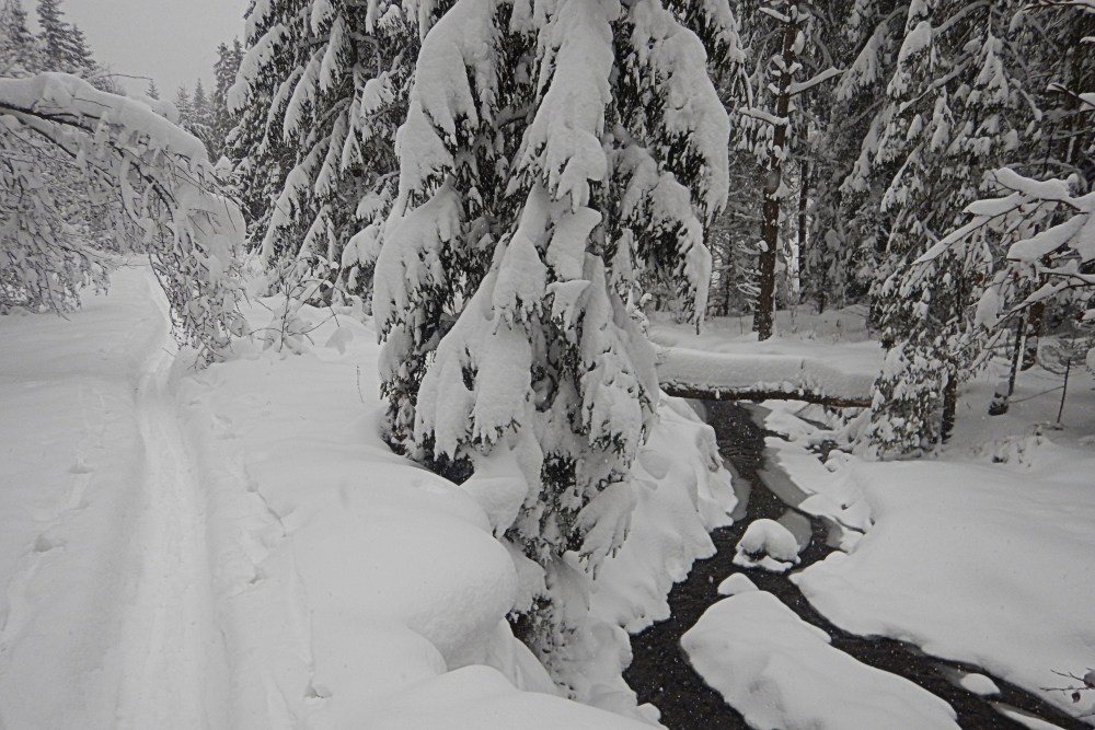 biegowki_beskid_niski_jaktoblisko_przewodnik_gorski_13