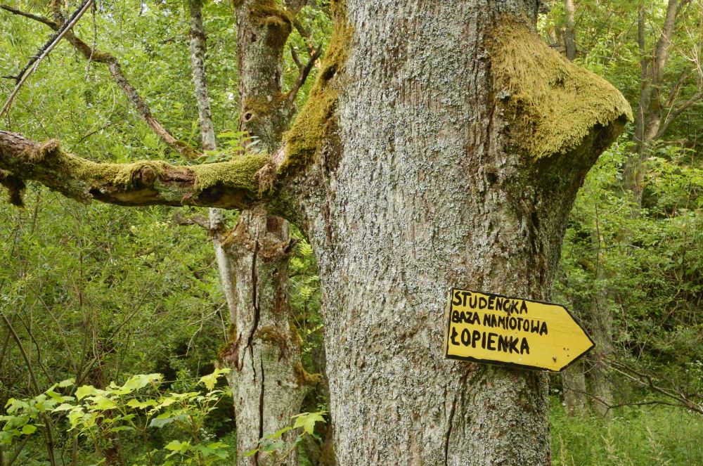 Teraz na pewno trafimy! Bieszczady z jaktoblisko.com